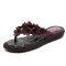Purppura