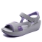 Purppura