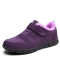 Purppura