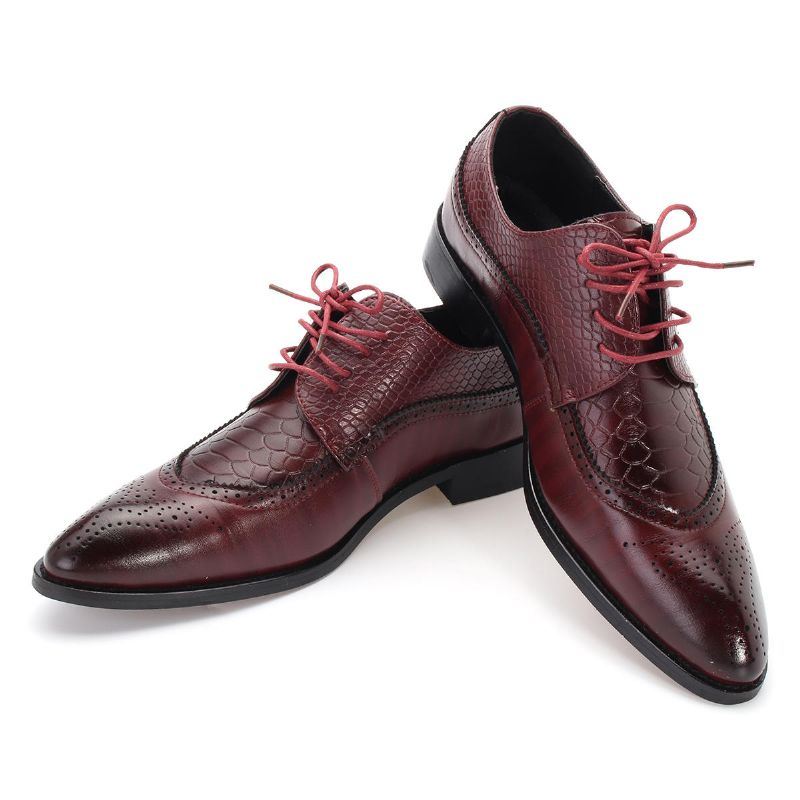 Miesten Modernit Brogue-veistetut Klassiset Teräväkärkiset Mekkokengät