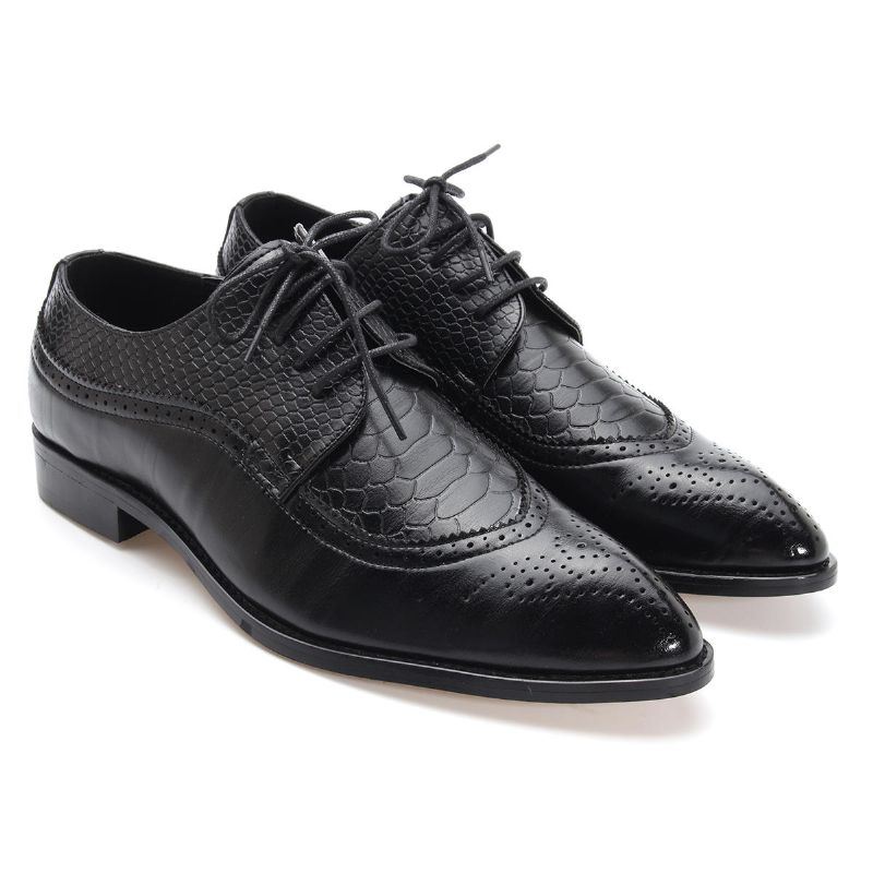 Miesten Modernit Brogue-veistetut Klassiset Teräväkärkiset Mekkokengät